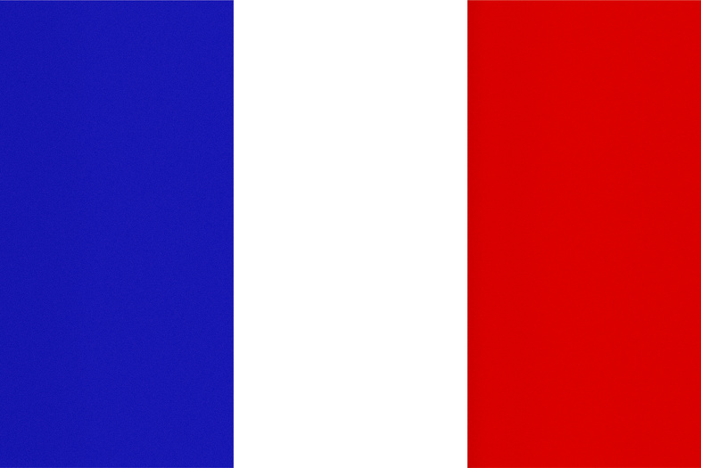French Flag, Texturised