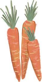 Illustration of Carrots